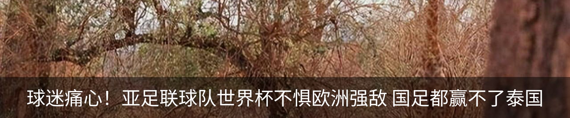 行业资讯