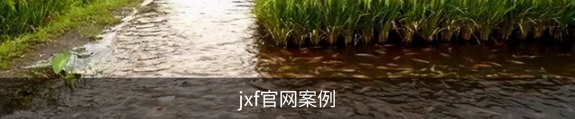 jxf官网案例